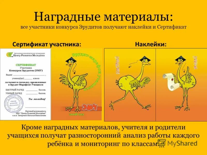 Ано центр развития молодежи. Центр развития молодежи. Конкурс эрудитов сертификат. Ано центр развития молодежи екатеринбург официальный. Ано центр развития молодежи.