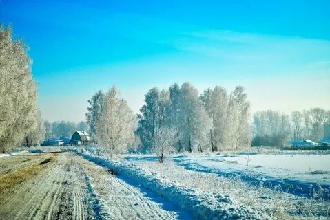 Низких зима