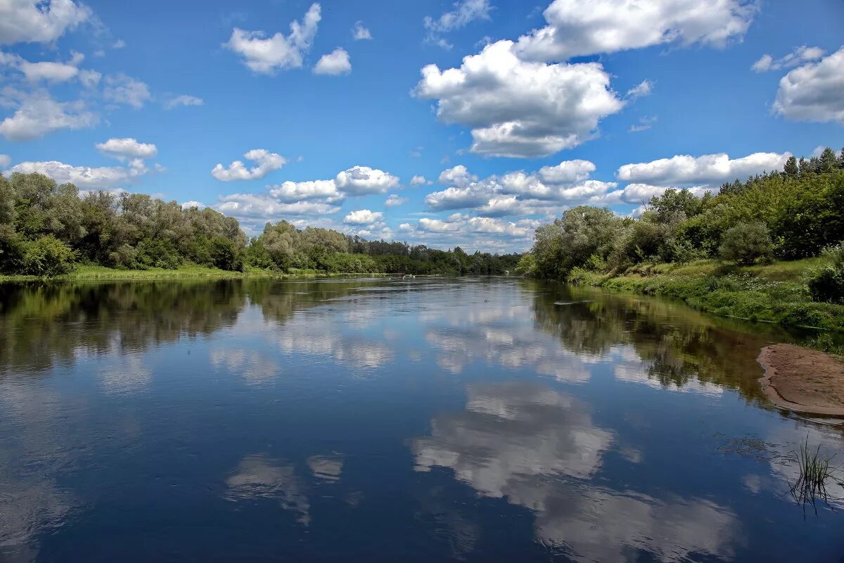 Вода в реке сура. Река Сура в Пензенской области. Река Сура в Мордовии. Река Сура. Река Пенза , приток Сура.