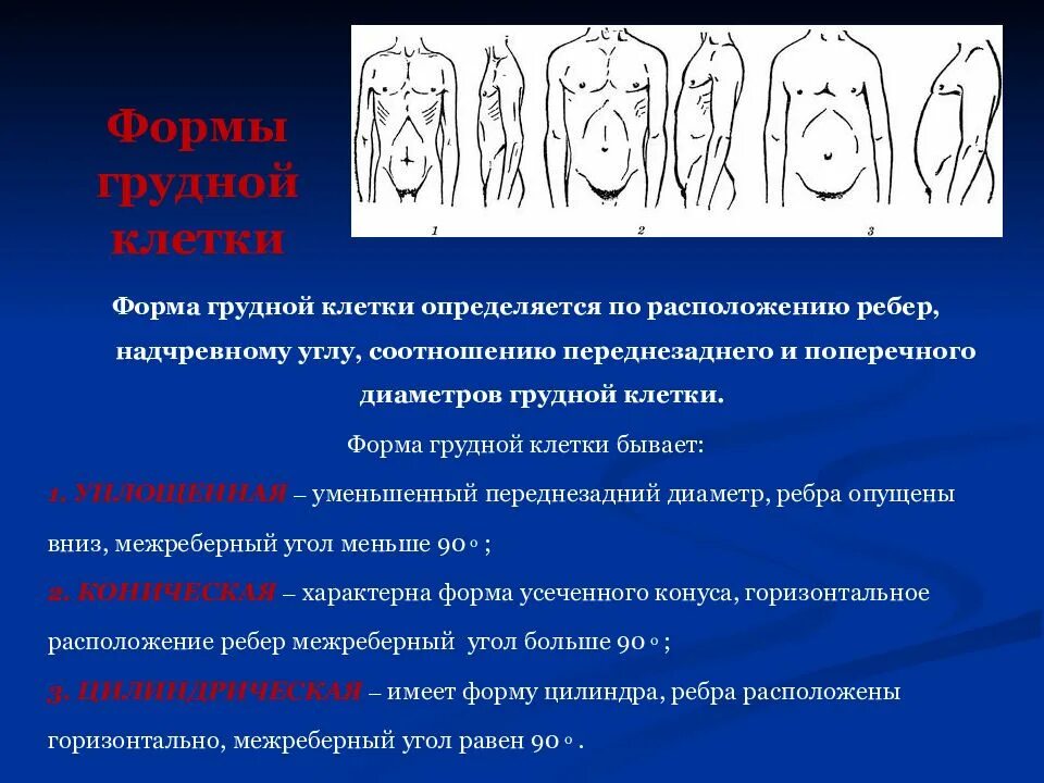 У спортсменов чаще наблюдается форма грудной клетки. Нормальные и патологические формы грудной клетки. формы грудной клетки пропедевтика. коническая форма грудной клетки. форма грудной клетки пропед.