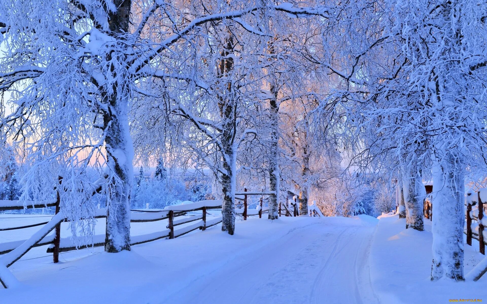 Is winter beautiful. Красивая зима. Зима снег. Зимняя заставка на рабочий стол. Зимний пейзаж.