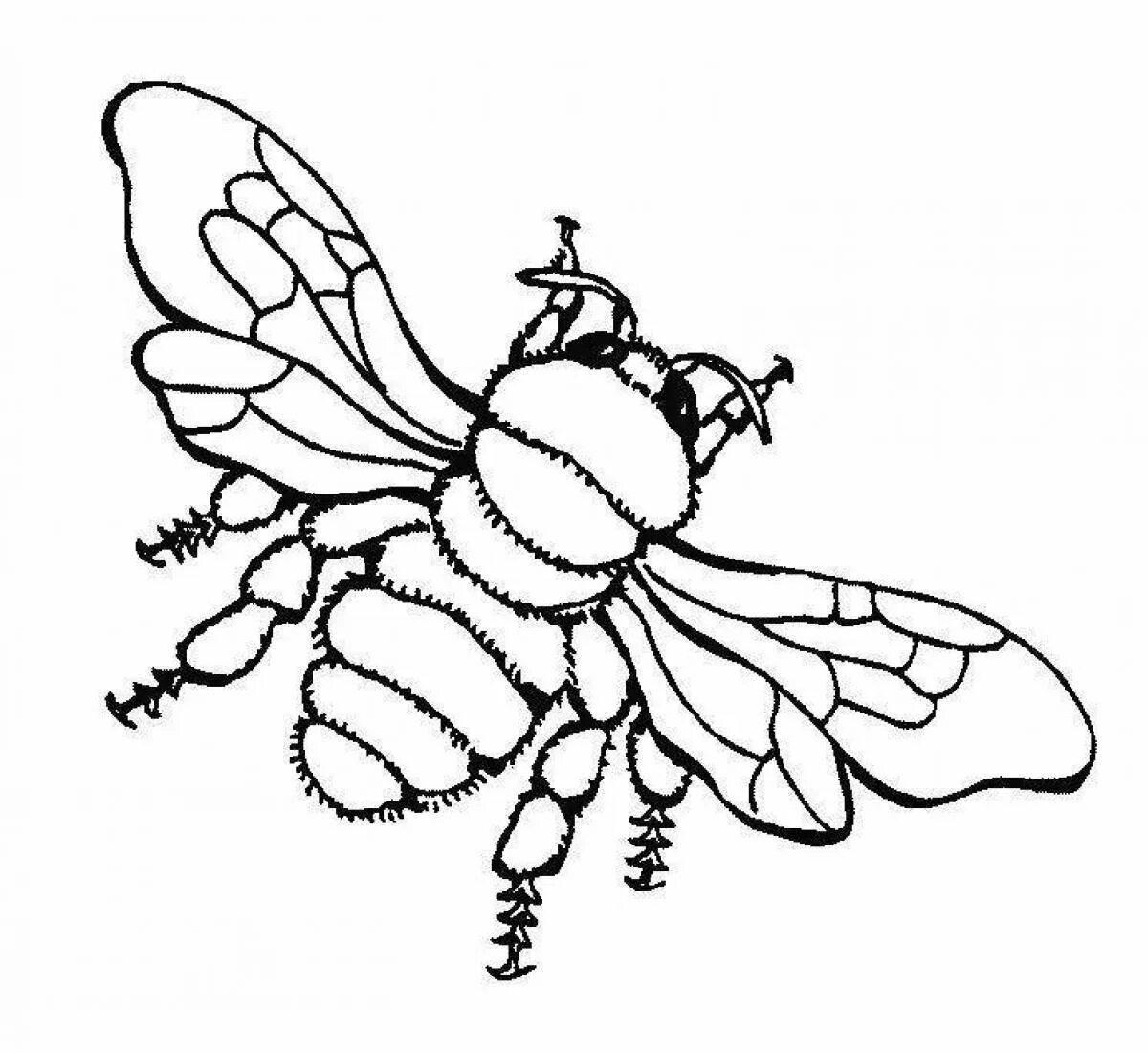 Раскраска насекомые для детей 3 лет. Пчела раскраска. Пчела раскраска для детей. Насекомые раскраска для детей. Раскраска насекомые для малышей.