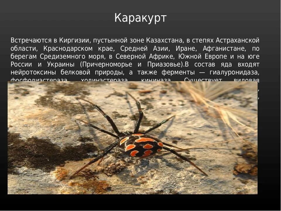 Про самого ядовитого