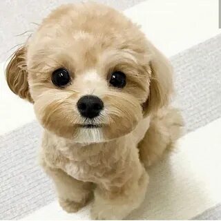 Too cute