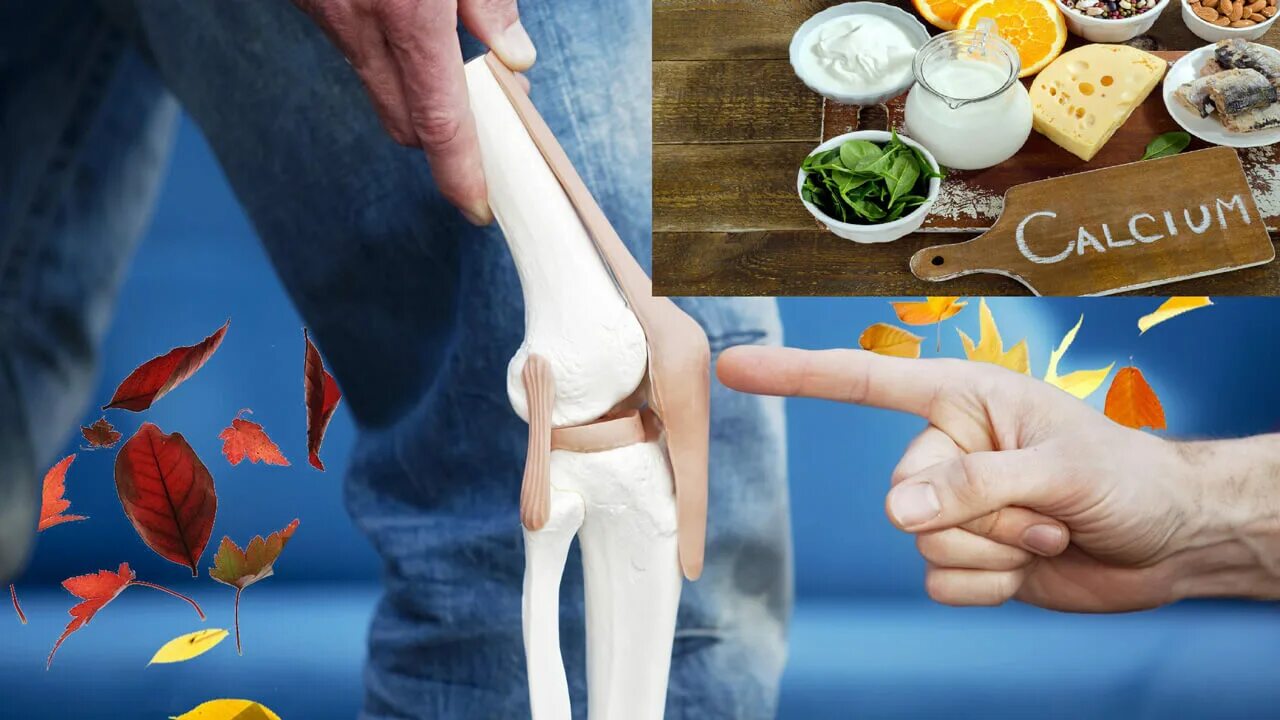 Сухожилия еда. Продукты питания для костей. еда для здоровых суставов. еда для костей и суставов. еда для укрепления костей.