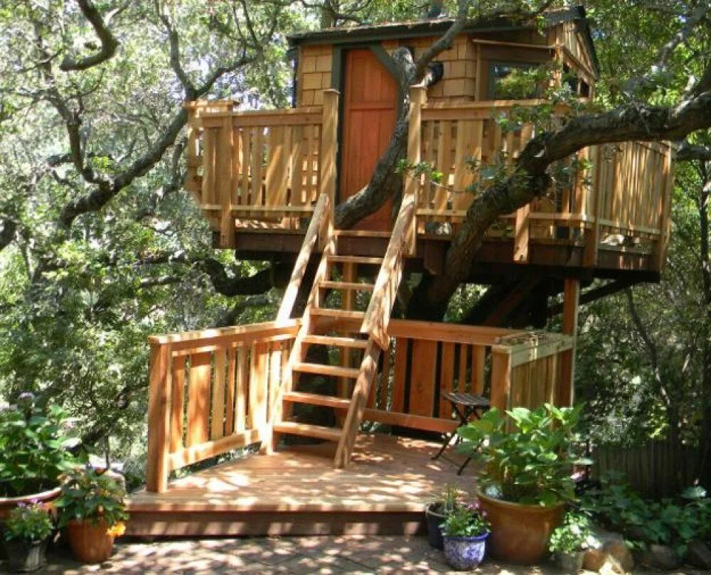 Из какого дерева сделан дом. Rumah pohon “tree house”. детский домик между двух деревьев. идеи домов н дереве для ребёнка. как обустроить домик на дереве для детей.