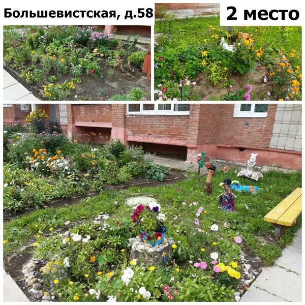 На заднем дворе расцвели спойлеры