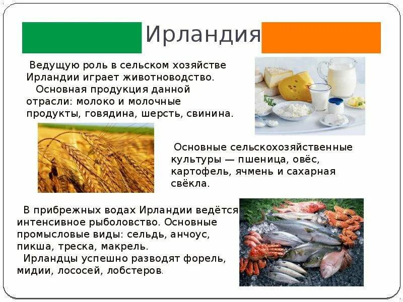 Северная ирландия промышленность. Что производит ирландия. Северная ирландия промышленность. Что производит ирландия. Отрасли ирландии.