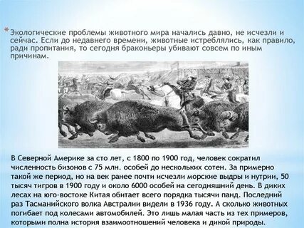 Проблемы исчезающих видов