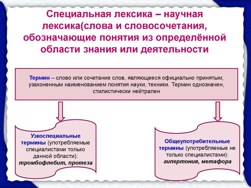 Лексика как определить. Специальная лексика. Специальная лексика термины. Специальная лексика примеры. Специальная терминология примеры.