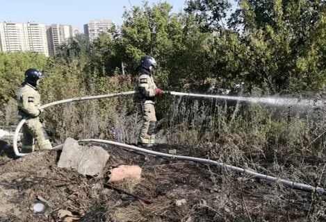 Ликвидация ростов