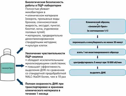 Пцр на микобактерии туберкулеза