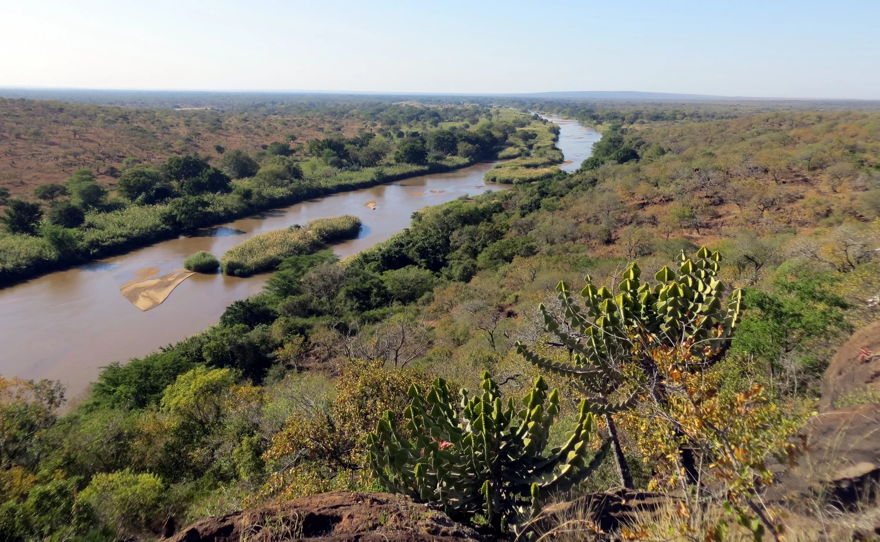 Africa river. Лимпопо река в Африке. Дикие реки Африки Лимпопо. Лимпопо ЮАР. Саванна (река).