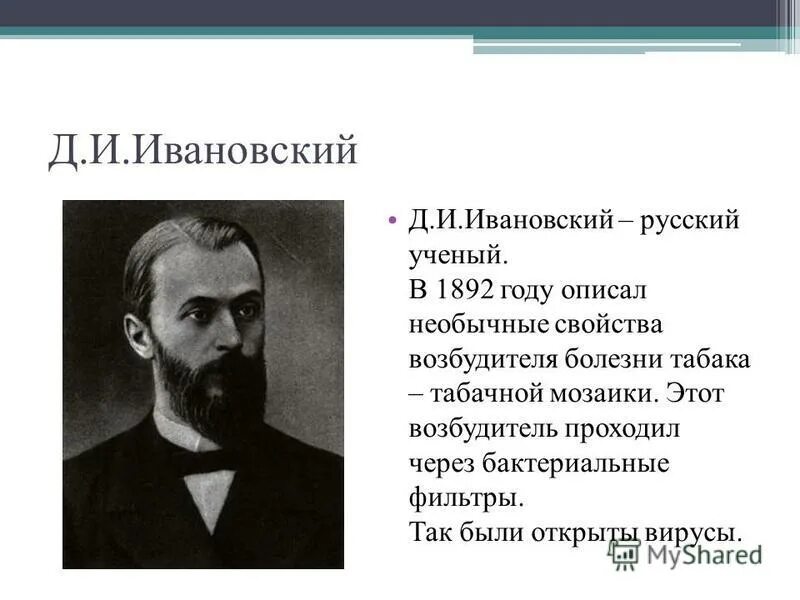 вирусы были открыты в 1892 году. история откритимя вирус. дмитрий ивановский вирусы. вирусы были открыты в 1892 году. история открытия россии.