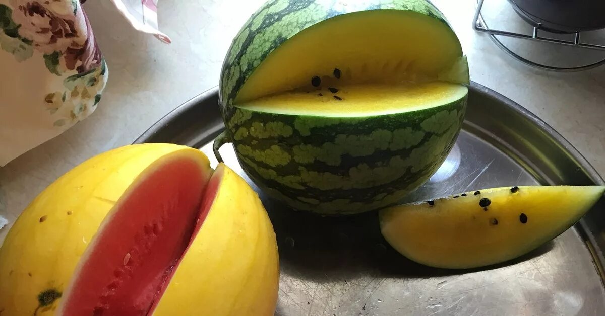 Арбуз orange king. Электронная сигарета luxlite арбуз. Кавбуз (гибрид тыквы и арбуза). Электронные сигареты одноразовые watermelon. Мармелад арбузные дольки.