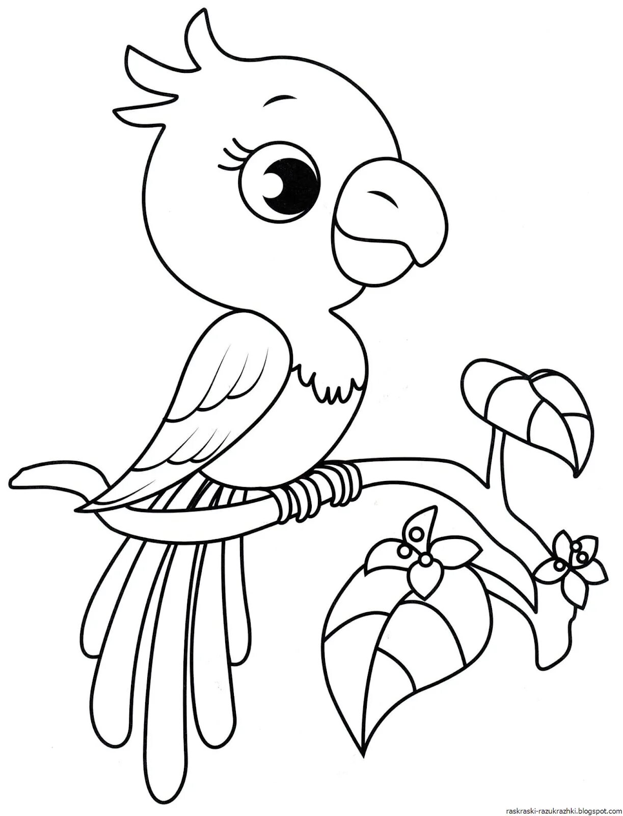 Раскраска попугай. Птичка раскраска. Птицы. Раскраска. Птичка раскраска для детей.