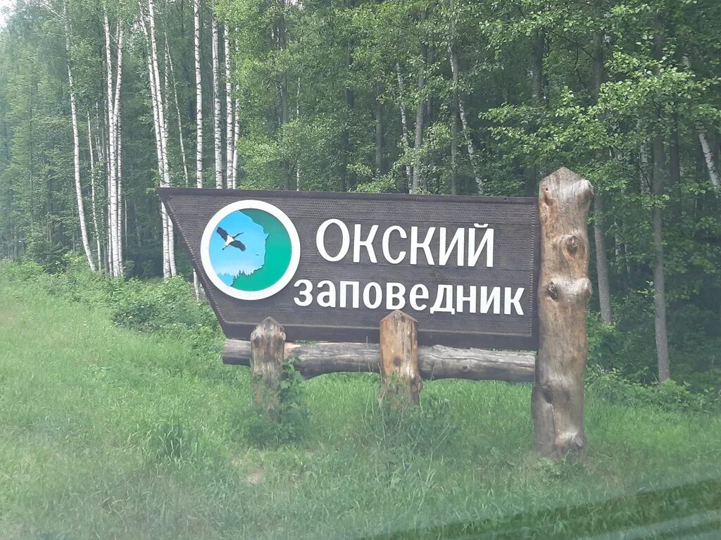 Окский заповедник кратко. Брыкин бор рязанская область заповедник. окский государственный природный заповедник. мещера окский заповедник.