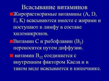 Какие витамины в кишечнике