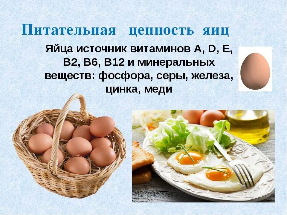 История про яйца. Информация о куриных яйцах. Яйца для презентации. Питательные вещества в курином яйце. Презентация на тему яиц.