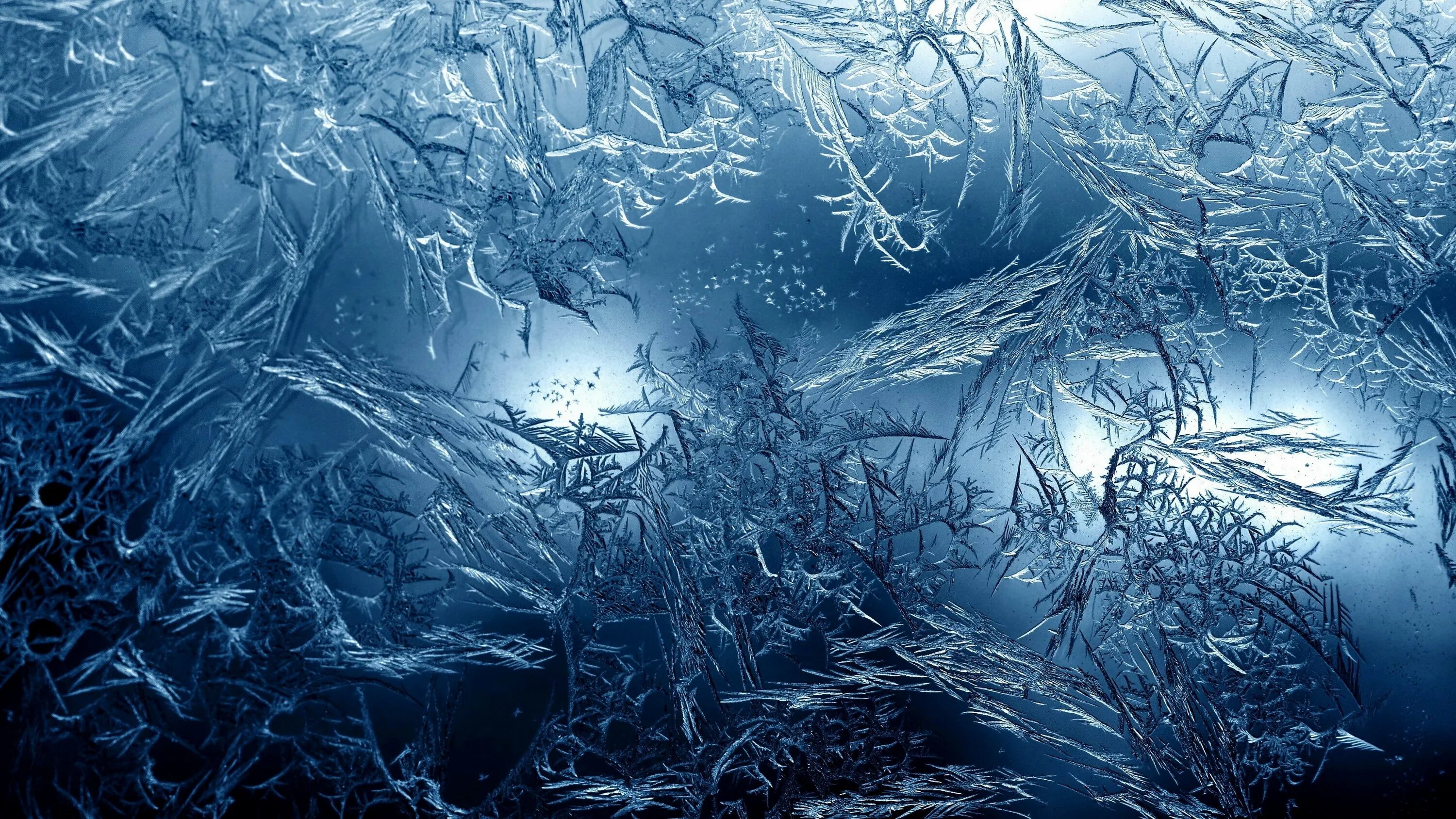 Freeze script