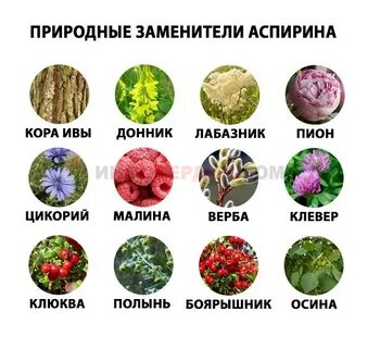 Вместо аспирина