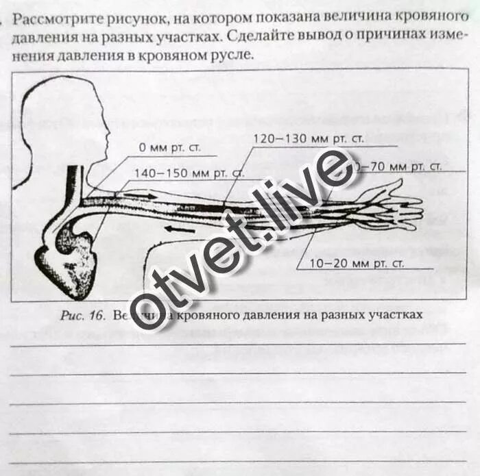 Рассмотрите рисунок 176 в и объясните почему. 561 Рассмотрите рисунки что могло. Рассмотрите рисунок на котором ищобралкнр геероогическое. Почему изменяется давление по мере удаления сосуда от сердца. Почему изменяется давление по мере удаления сосуда.