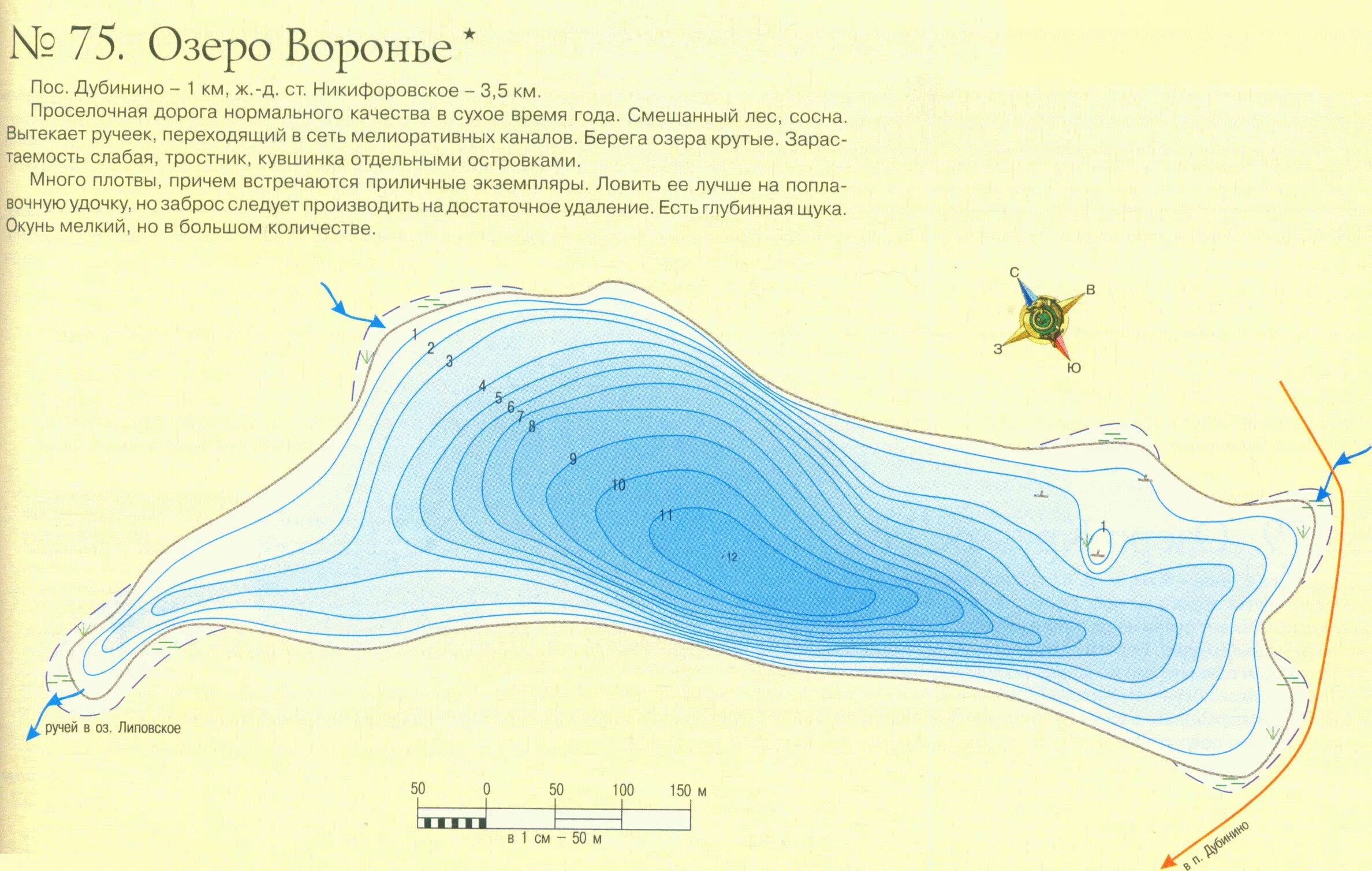 Глубина озера ильмень. Озеро Гавриловское карта глубин. Озеро Тростниковое карта глубин. Озеро Высокинское карта глубин. Озеро Раковическое карта глубин.