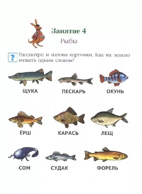 Слова рыба ответы. Занятие рыбы. Назови одним словом рыбы. Картинки для детей назвать одним словом рыбы. Части рыбки для занятий.