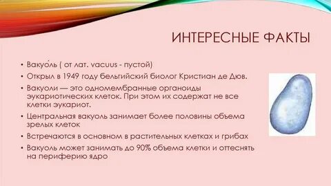 Растительная клетка факты