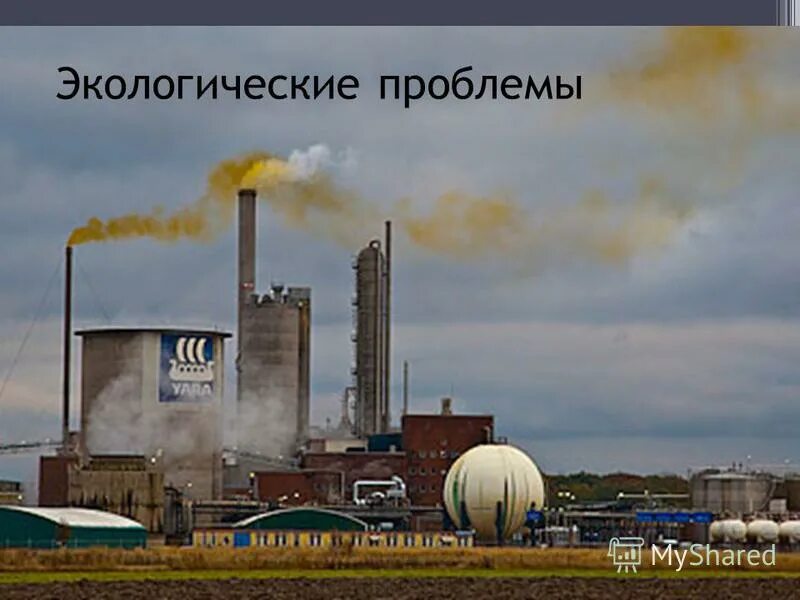 лисий хвост азот. лисий хвост азот. лисий хвост кемерово азот. лисий хвост кемерово азот. лисий хвост кемерово азот.