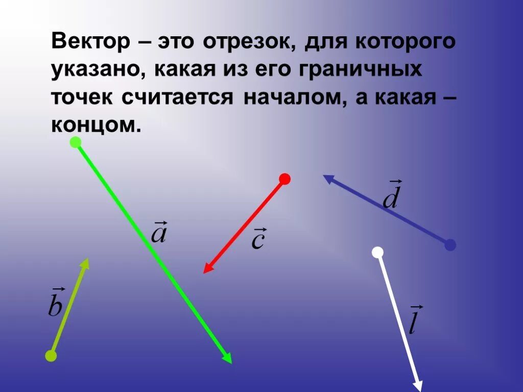 Небольшой отрезок ее жизни. Вектор. Понятие вектора. Геометрия вектор. Вектор в математике.