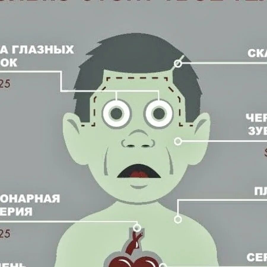 За сколько продают людей. Сколько стоят органы. Органы человека на черном рынке. Стоимость органов человека. Колько стоят органы человека.