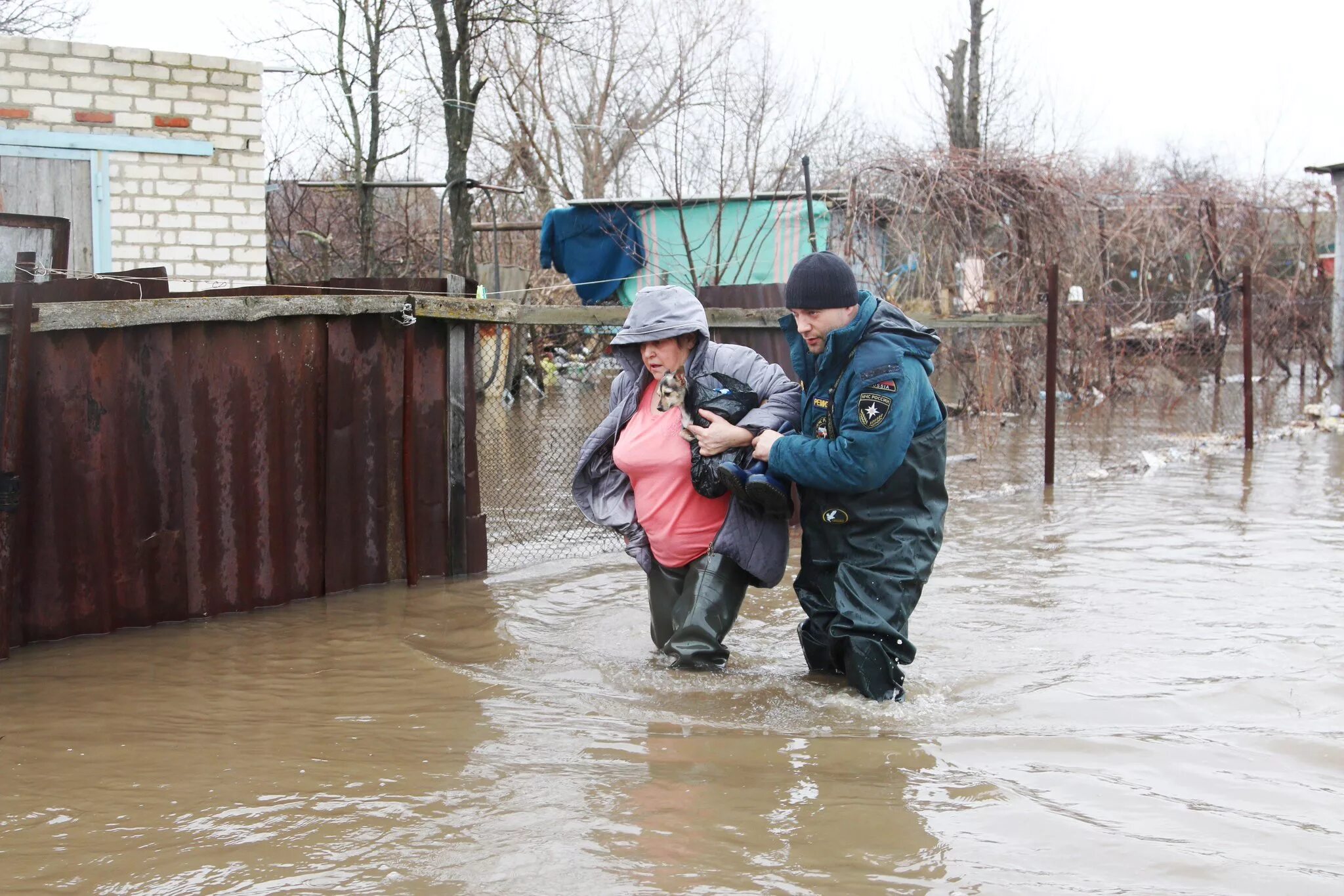 Половодье чувств