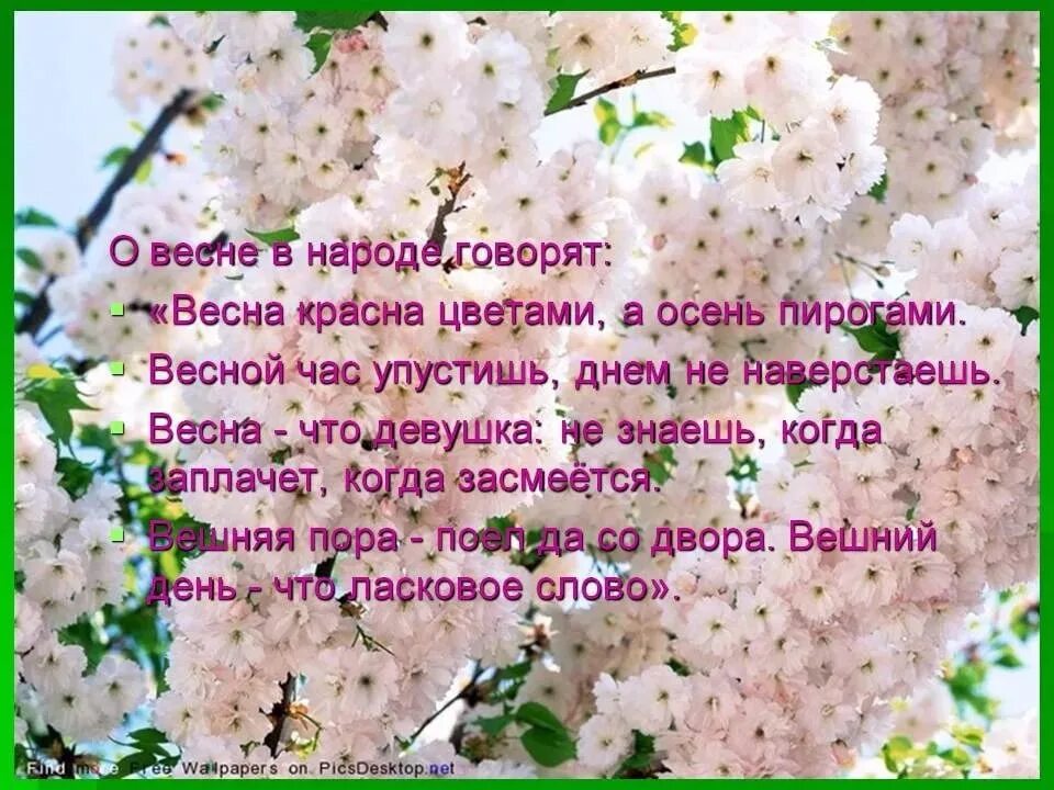 Высказывания про цвета