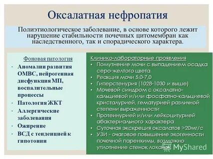 Нефропатия что это