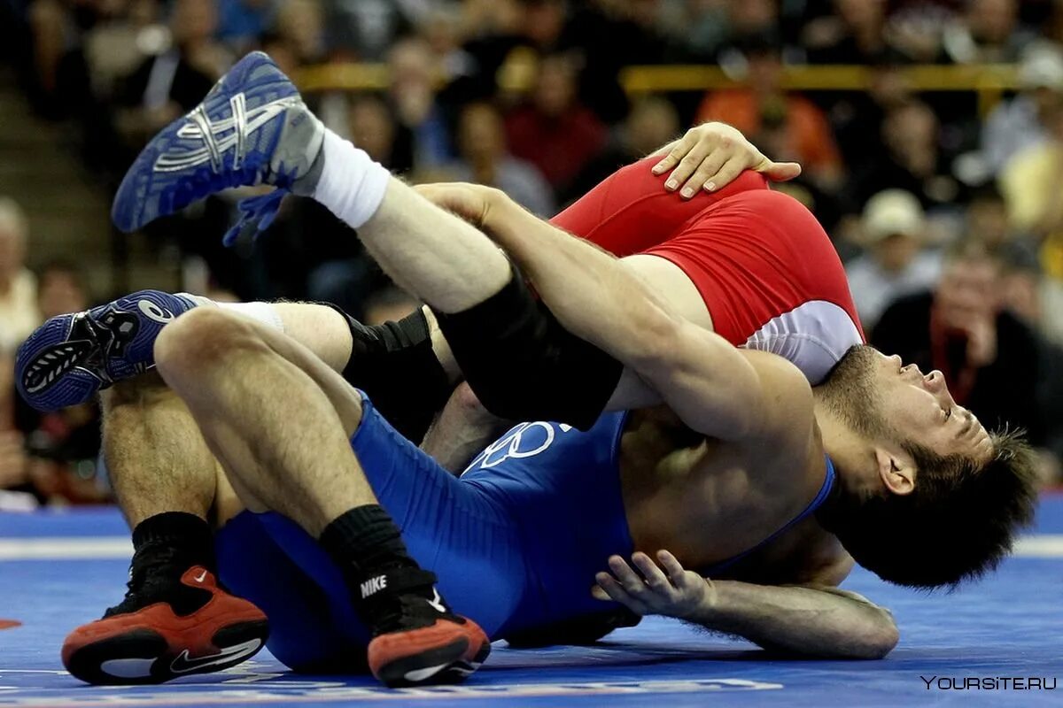 Греко римская борьба партер. Вид борьбы реслинг. • борец греко-римского стиля сергей емелин. Даш шиви айбек. Кайл борьба.