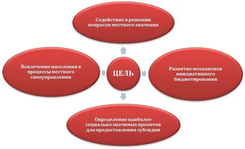 Проблемы инициативного бюджетирования