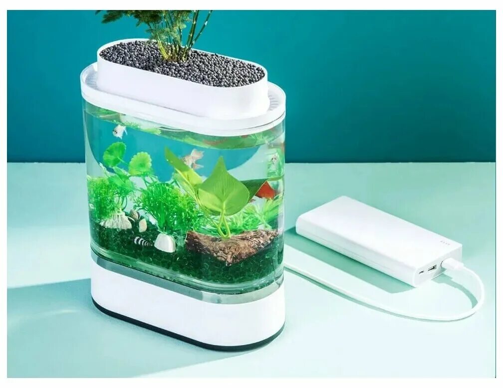 Акваферма купить. Аквариум Xiaomi Mini Lazy Fish Tank HF-jhyg005. Xiaomi c300 Акваферма. Акваферма Xiaomi Geometry. Аквариум Xiaomi - Geometry Fish Tank.