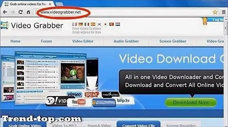 Videograbber net