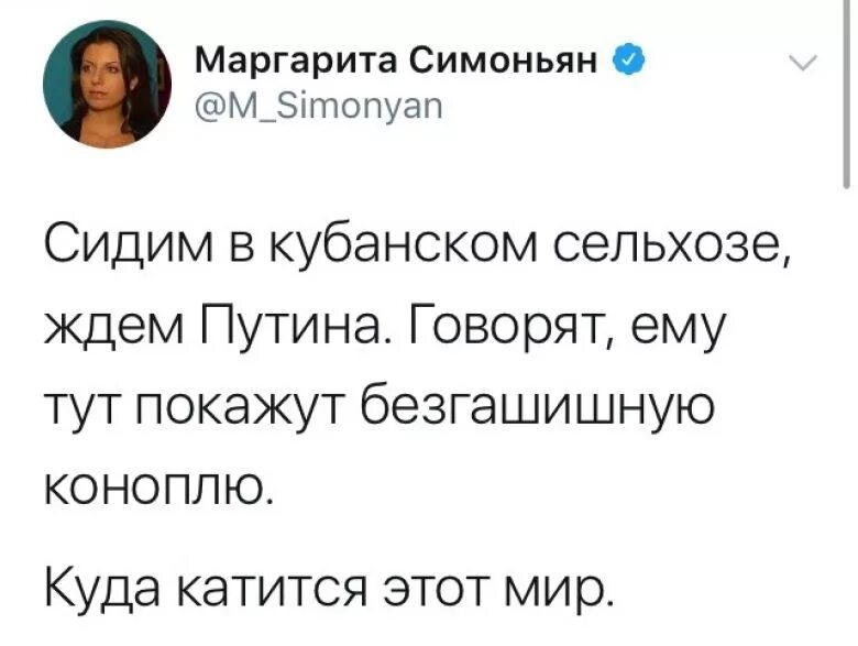 Симоньян почему всегда сидит. Симоньян. Симоньян Мем.