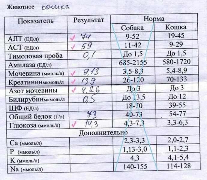 Асат это биохимия. Биохимический анализ крови показатели нормы. Норма анализа крови у женщины биохимия. Показатели алт АСТ нормы для детей. АСТ В биохимическом анализе крови у детей норма.