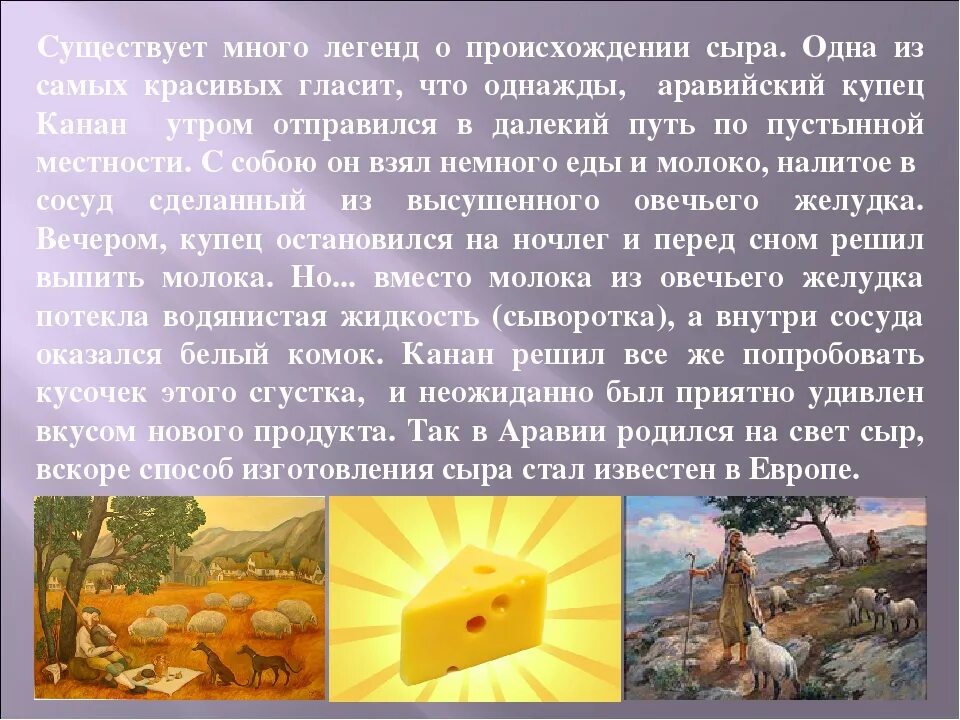 Сыр происхождение. Чеддер фото. Сыр происхождение. Сыр история. Сыр, история и производство.