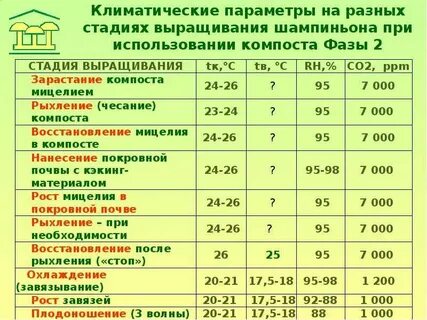 При какой температуре грибы