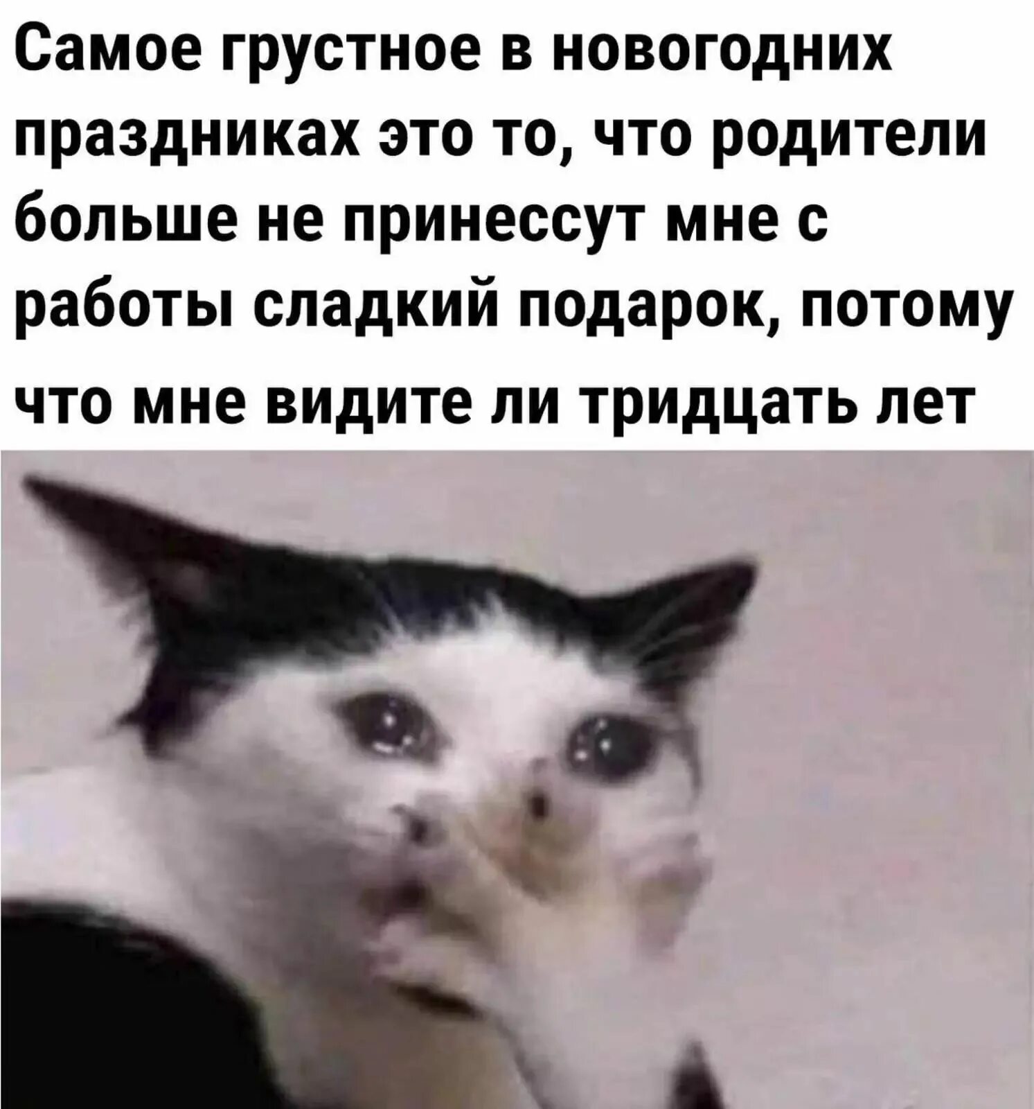 Давай я оплачу
