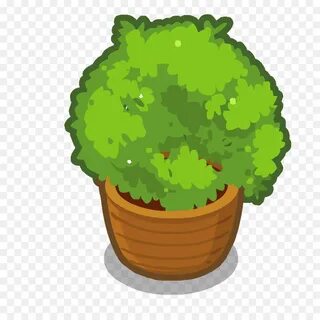 Plants story