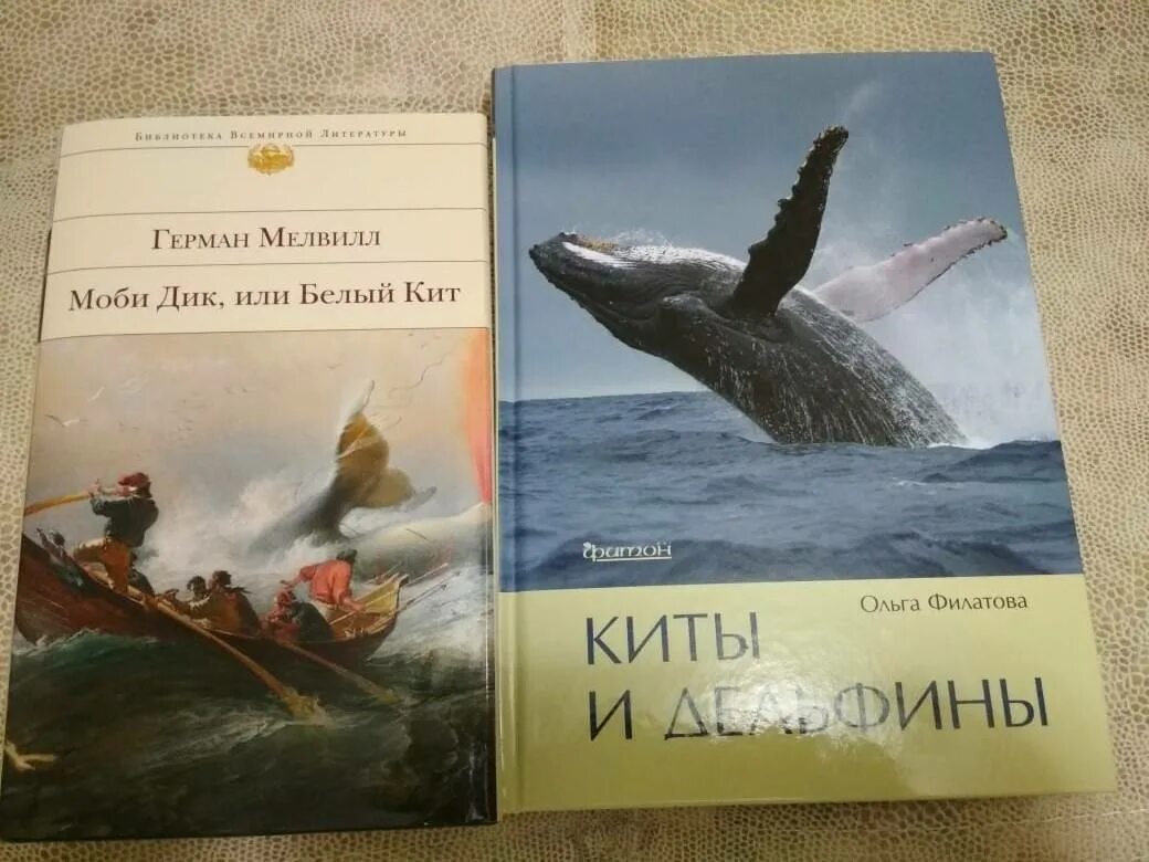 Книга про кита. Книги про китов и дельфинов. Книга киты дельфины.