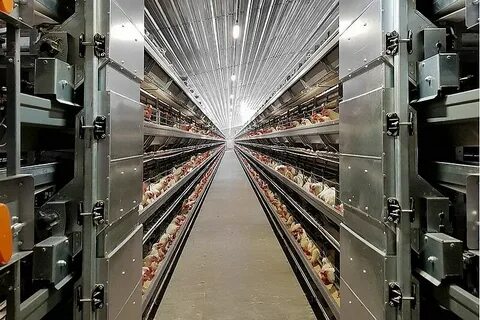 Клеточное оборудование