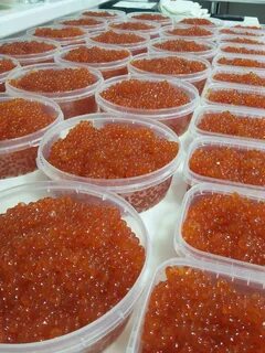 Красная икра в 2023 году