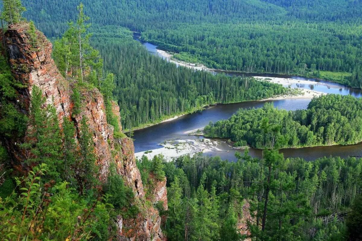 Природа сибири текст. Хакасия Тайга Сибирь. Тайга река Красноярск. Средняя Тайга Красноярского края. Река Кова Красноярский край.