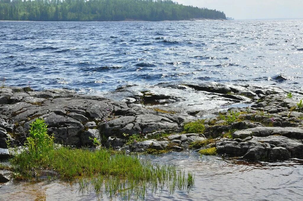 Пляжи онежского озера вытегра. Около онежского озера. Фото вокруг онежского озера. Дно онежского озера. Озеро онего карелия.
